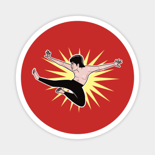 Bruce Can Fly! Magnet